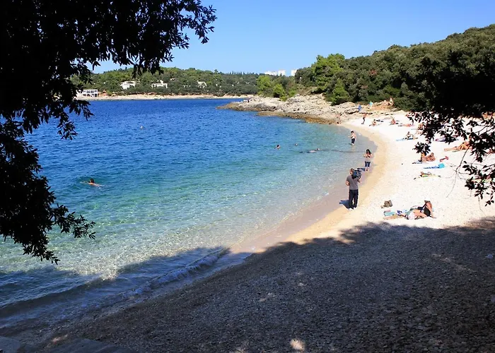 With Wifi - 13830 Apartman *